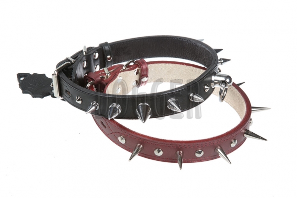 Collar 30 with thorn colored